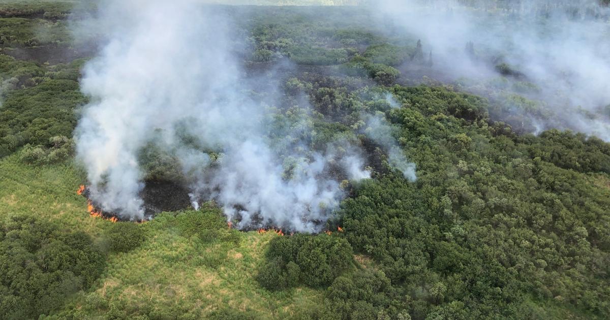 BLM Glennallen Field Office issues temporary prohibition on open fires